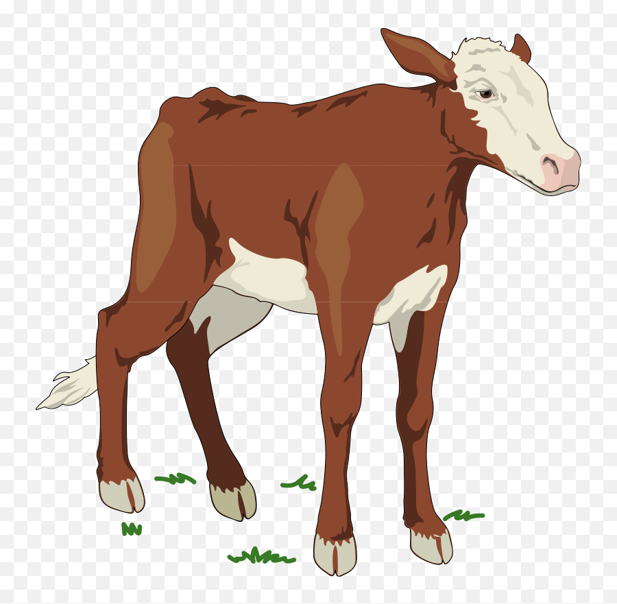 Free Cow Images Free Download Free Cow Images Free Png Emoji,Clipart Cows