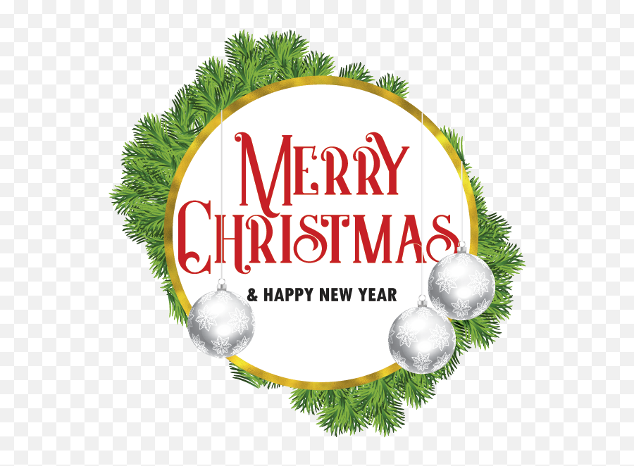 Download Christmas - Tree Christmas Tree Png Image With No Christmas Day Emoji,Christmas Tree Png