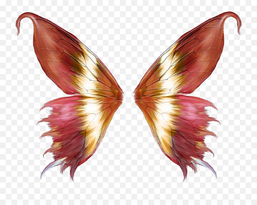 Butterfly Wings Png Clipart - Vector Butterfly Wings Png Emoji,Butterfly Transparent Background