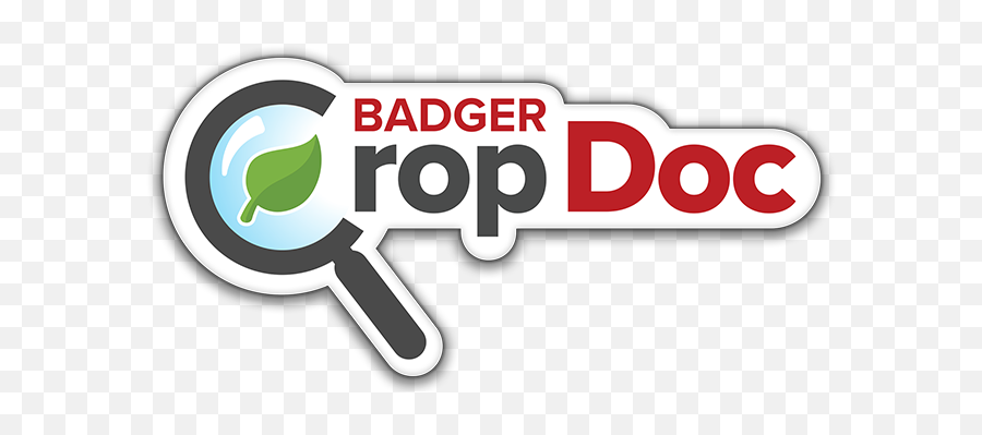 Logo - 2 Badger Bean Dot Emoji,Badger Logo