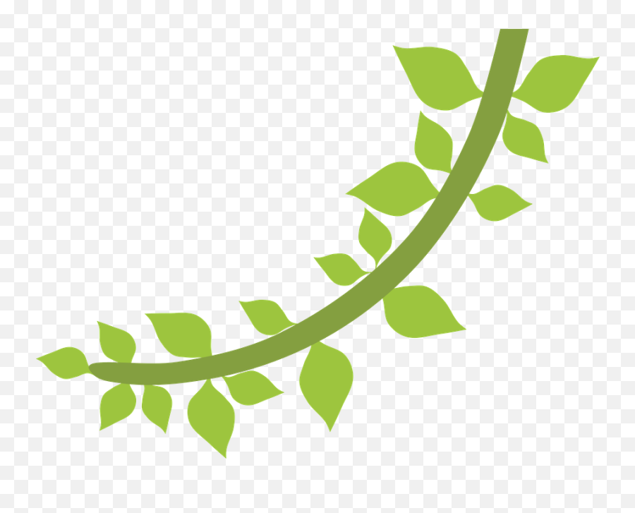 Leaves Clipart Safari Leaves Safari Transparent Free For - Cipó Safari Png Emoji,Jungle Leaves Png