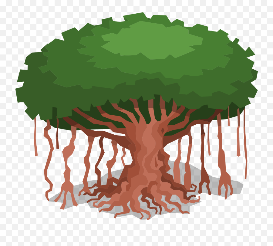Banyan Tree Animal Jam Item Worth Wiki Fandom - Giant Sequoia Emoji,Jam Clipart