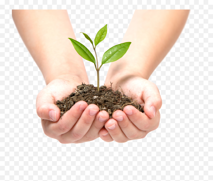 Soil In Hands Png - Transparent Plant In Hand Png Emoji,Transparent Plant