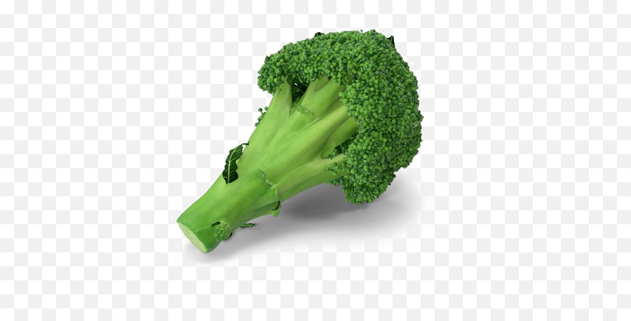 Broccoli Png Transparent Image Png Svg - Broccolini Emoji,Broccoli Png