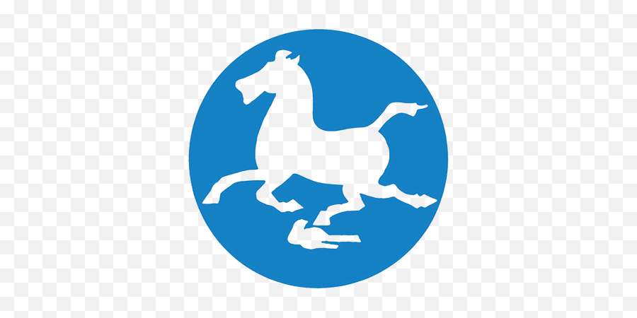 China Tourism Logo Logok - China National Tourist Office Logo Emoji,Horse Logos