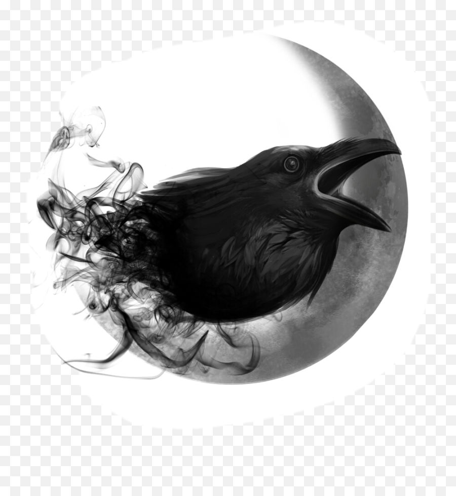 Raven Background Sticker By Dreamer - Raven Png Emoji,Raven Transparent Background