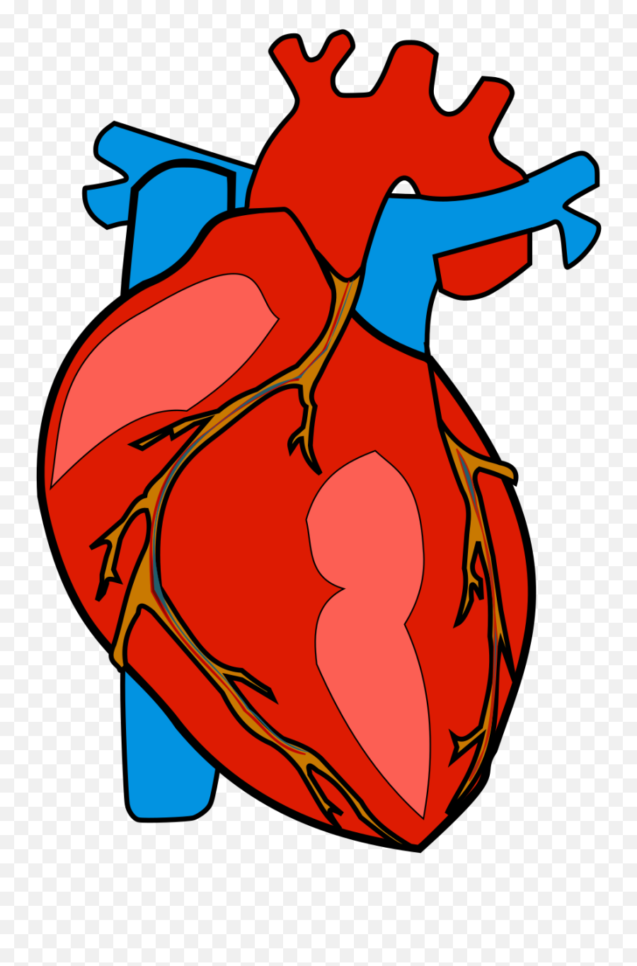 Library Of Heart Human Png Download Png - Heart Organ Clipart Emoji,Human Clipart