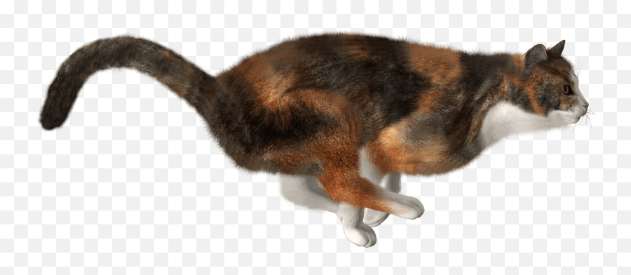 18 Cat Png Image Download Picture Kitten Emoji,Kitten Transparent Background