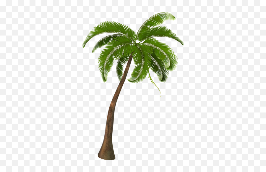 Elenasoloveika Palm Tree Vector Palm Emoji,Palm Tree Clipart Free