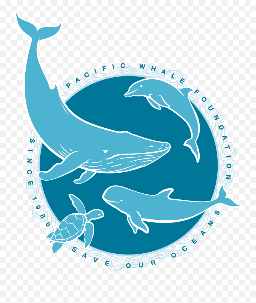 Logo Chup Chup Gourmet Transparent Png - All Animals Logo Png Emoji,Whale Logo