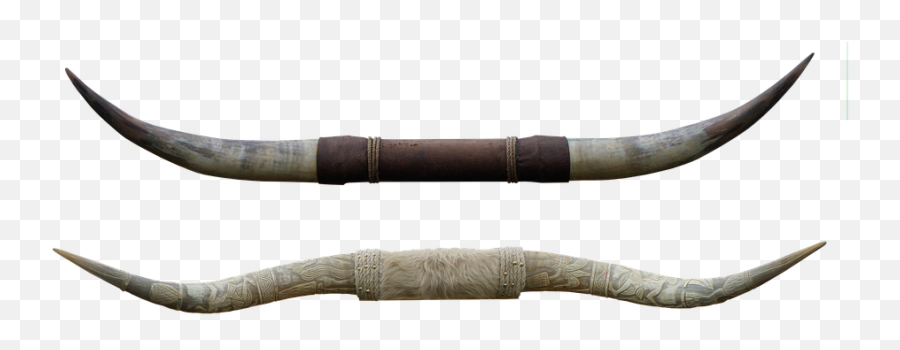 Free Photo Bull Animal Cow Horns - Max Pixel Cow Horns Png Emoji,Horns Png