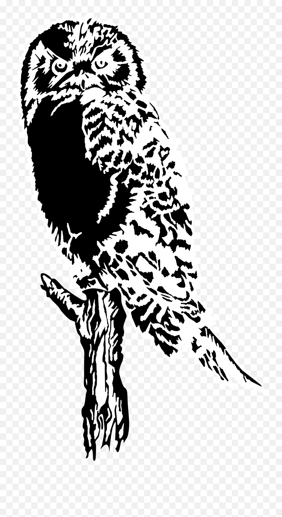 Black And White Clip Art Owls On Books - Owl Silhouette Images On Tree Emoji,Owl Clipart Black And White