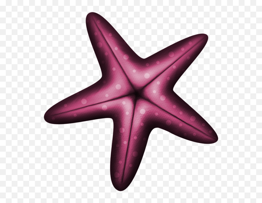 Starfish Transparent Png Image Ideas - Desenho Estrela Do Mar Png Emoji,Star Fish Png