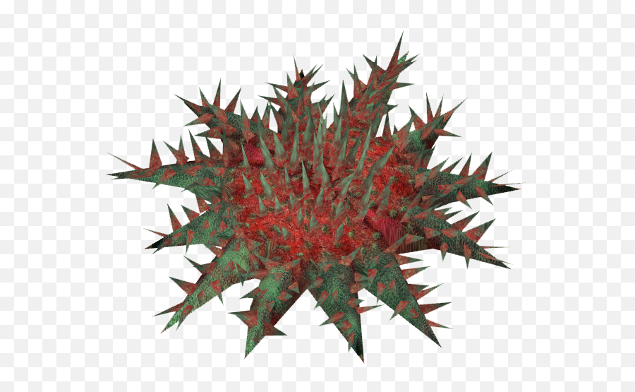 Crown - Crown Of Thorns Starfish Transparent Background Emoji,Crown Of Thorns Png