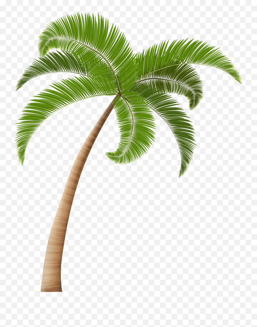 Palm Tree Png Palm Trees Hawaiian - Transparent Background Coconut Tree Png Emoji,Palm Tree Png