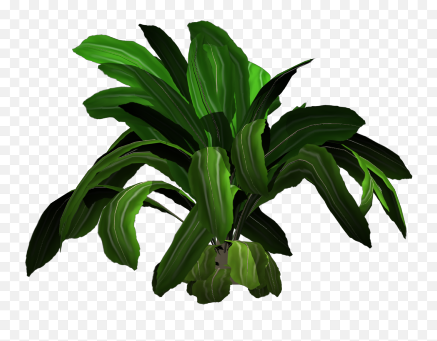 Added By Yorik On - Tropical Plants Cutout Png Emoji,Plant Png