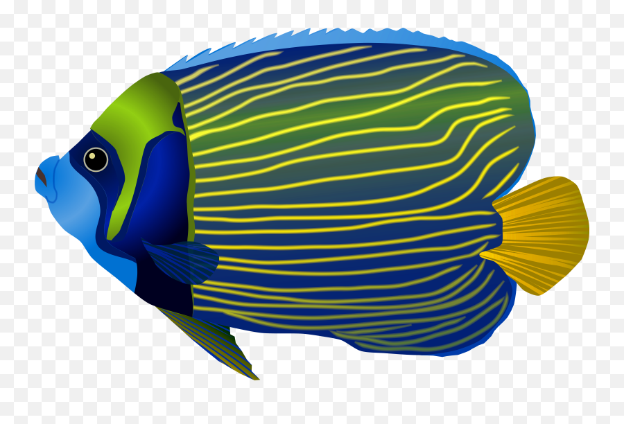 Of Fish Png Files Clipart - Fish Clipart Png Emoji,Fish Clipart