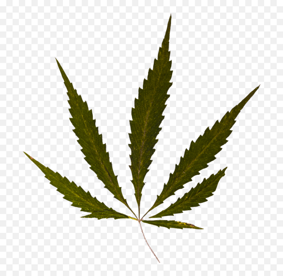 Weed Leaf Transparent Png - Weed Emoji,Weed Joint Png