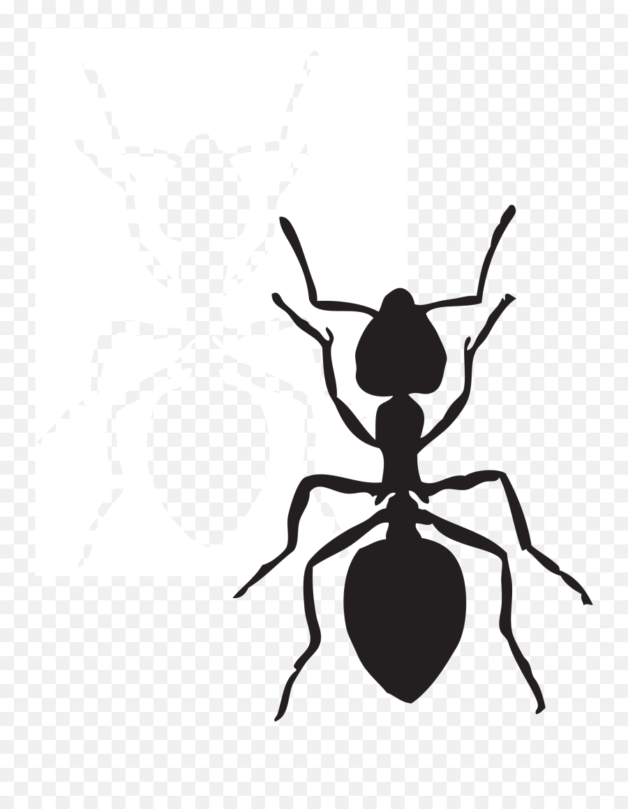 Ant Clipart - Ant Clip Art Black Emoji,Ant Clipart