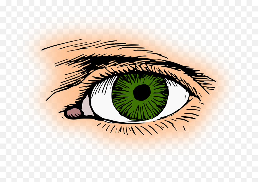 Download Free Photo Of Eyeeyelashgreenopticoptical Emoji,Green Eyes Png