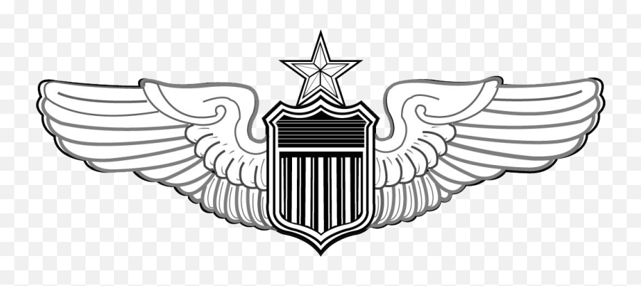 Download Usaf Senior Pilot Wings - Air Force Nav Wings Emoji,Air Force Png