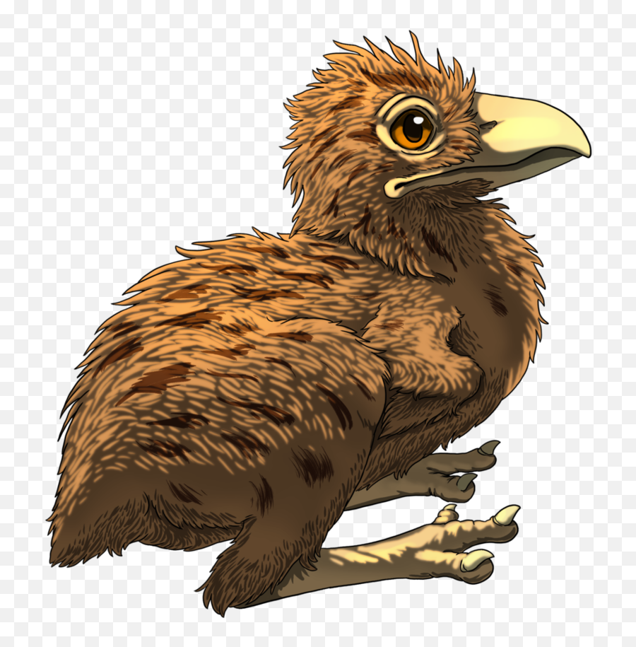 Spotted Terror Bird Chick Prehistoria Arpg Wiki Fandom Emoji,Baby Chick Clipart