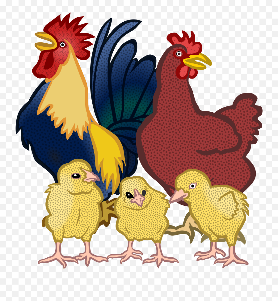 Chickens Vector Clipart - Chickens Png Clipart Emoji,Chicken Clipart