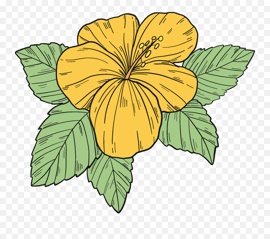 Yellow Hibiscus Flower Clipart - Yellow Hibiscus Clipart Emoji,Hawaiian Flower Clipart