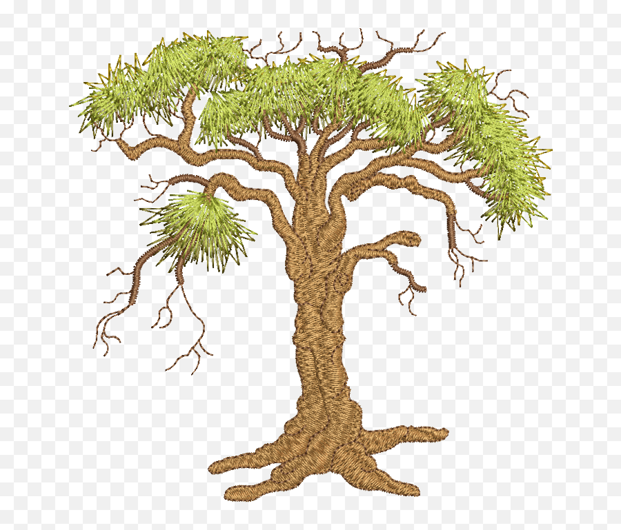 Oak Trees - Sketch Emoji,Oak Tree Png