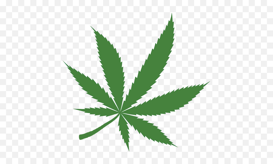 The Benefits Of Marijuana Legalization - Marijuana Png Emoji,Weed Leaf Transparent
