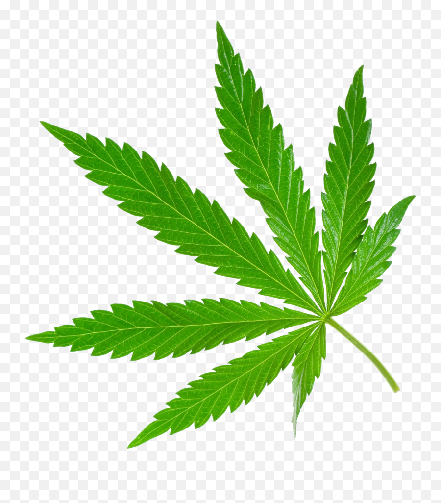 Download Weed Png Image For Free - Cannabis Png Emoji,Weed Png