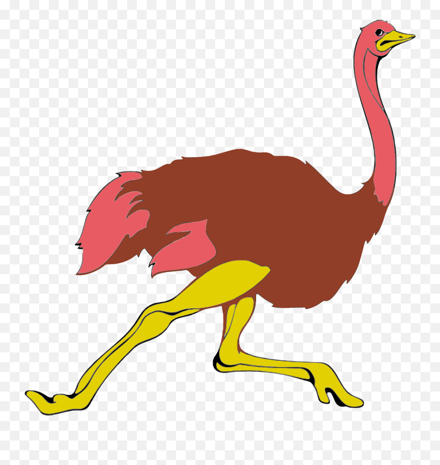 Ostrich Png Resolution2232x2258 Transparent Png Image Emoji,Ostrich Clipart Black And White