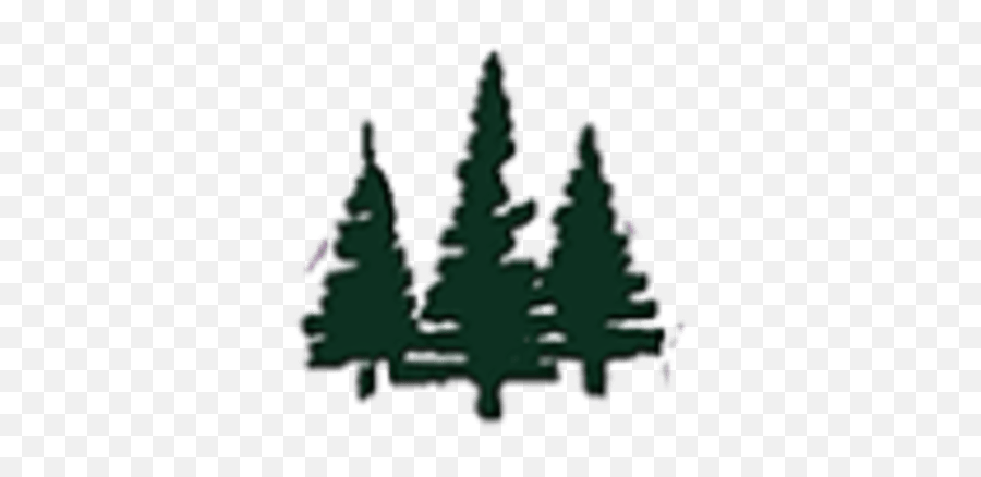 Schedule A Tour Mountain Village In El Paso Tx Emoji,Cedar Tree Clipart