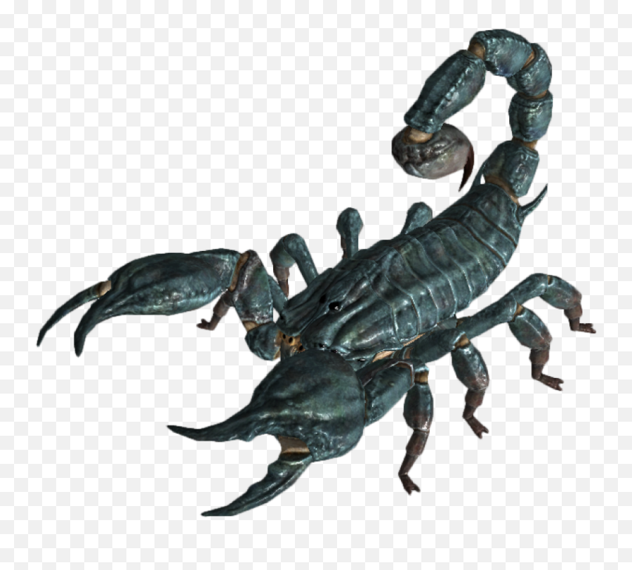 Lobster Clipart Scorpion Picture 1563523 Lobster Clipart - Fallout 3 Radscorpion Emoji,Scorpion Clipart