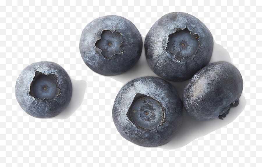 Blueberries Png File - Blueberry Emoji,Blueberries Png