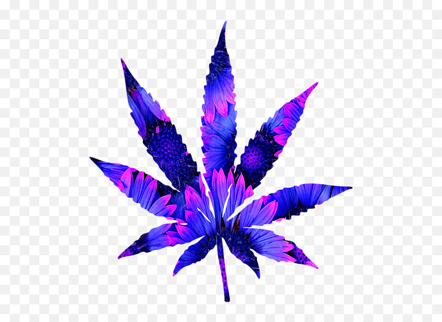 Cannabis Rainbow Design 106 Sweatshirt - Transparent Background Weed Leaf Clipart Emoji,Pot Leaf Png