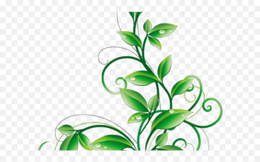 Plant Vector Png - Floral Clipart Leave Flowers And Leaves Green Color Flower Background Emoji,Leave Png