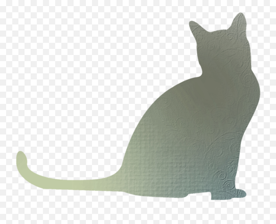 Download Hd Whiskers Cat Shadow Clip Art - Cat Shadow Png Emoji,Cat Whiskers Png