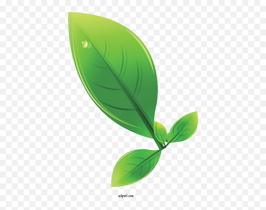 Nature Leaf Green Design For Leaf - Leaf Clipart Nature Clip Art Emoji,Green Leaves Clipart