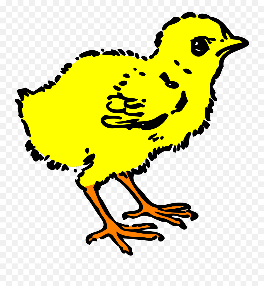 Baby Chick Chick Clipart Black And White - Png Download Emoji,Baby Chick Clipart