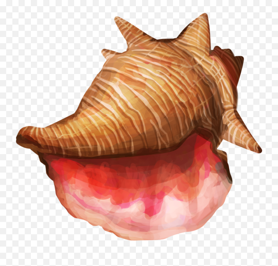 Conch Shell Png High - Conch Shell Png Male Emoji,Shell Png