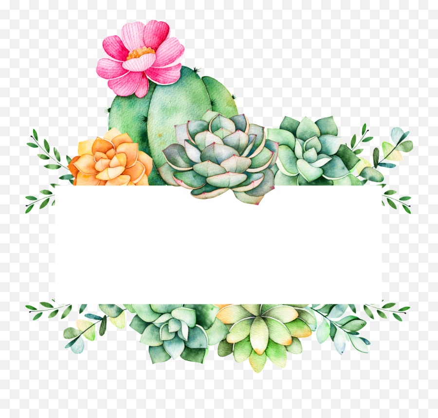 Download Easy To Grow Plants Cartoon - Cactus And Succulents Background Logo Emoji,Succulent Png