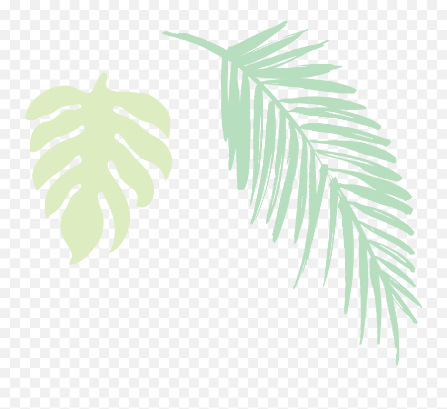 Download 2019 Jungle Leaves Light - Darkness Png Image With Swiss Cheese Plant Emoji,Jungle Leaves Png