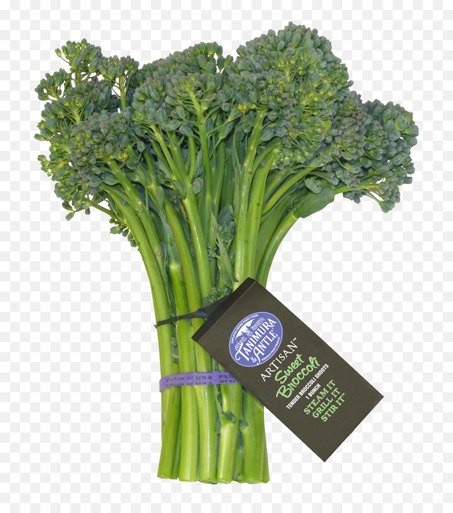 Artisan Sweet Broccoli - Broccolini Emoji,Broccoli Png