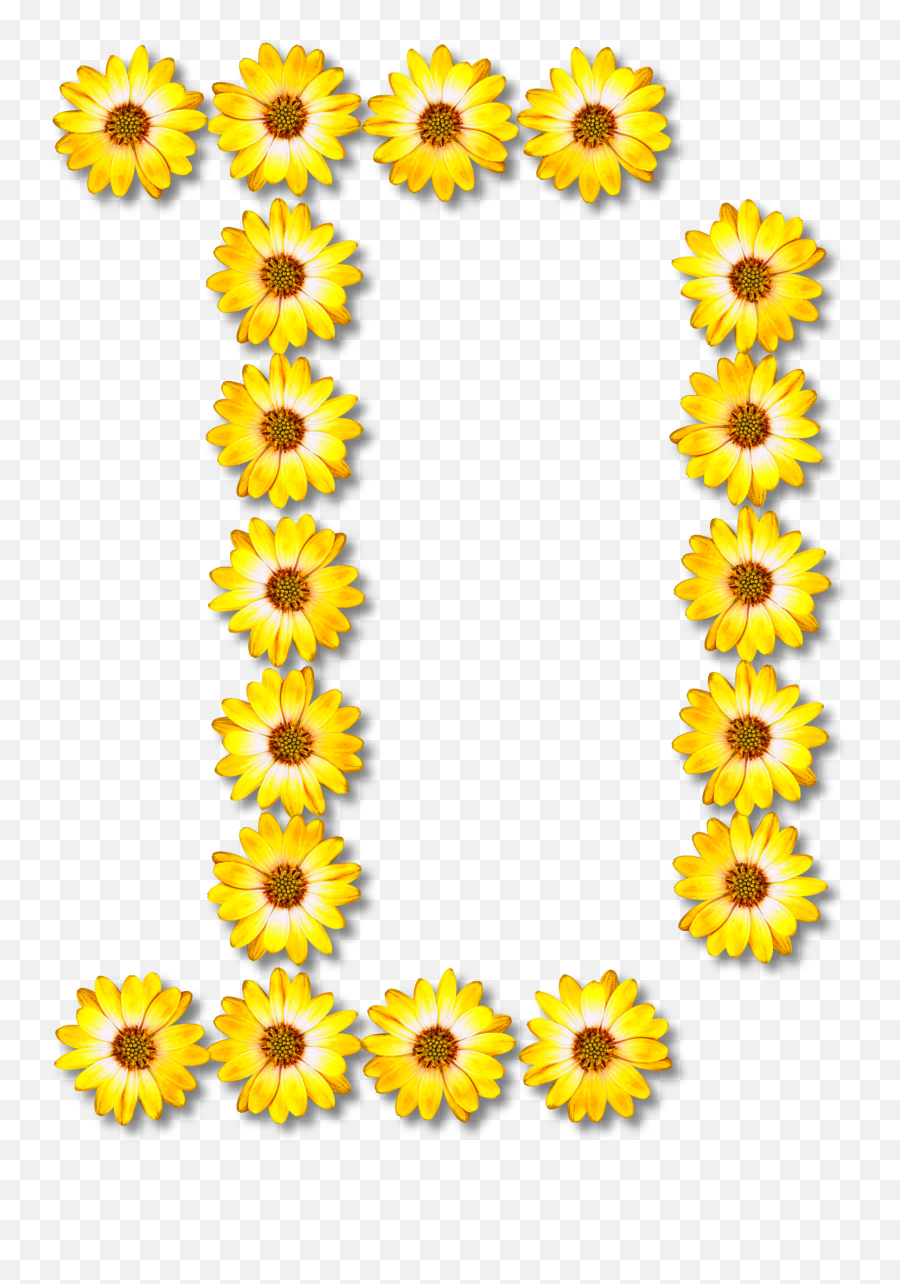 Free Download Common Sunflower Clipart Common Sunflower - Bunga Dari Huruf D Emoji,Sunflower Clipart