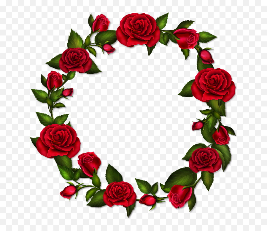 Circle Roses Transparent Frame - Rose Flower Round Png Emoji,Flower Circle Png