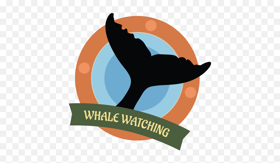 Gray Whale Princess Monterey Whale Watching Monterey Bay Ca - Fin Emoji,Whale Logo