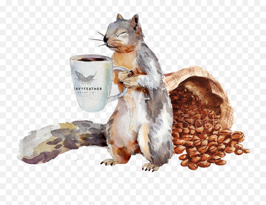 Coffee Club Heavyfeather Roasting Co - Mug Emoji,Squirrel Png