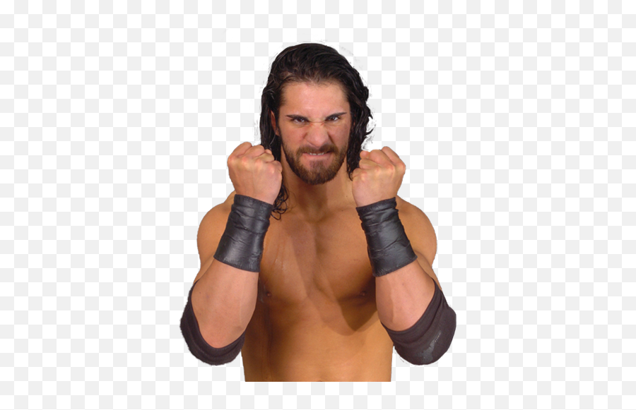 Seth Rollins Ring Of Honor Professional Wrestling - Tyler Black Emoji,Seth Rollins Logo