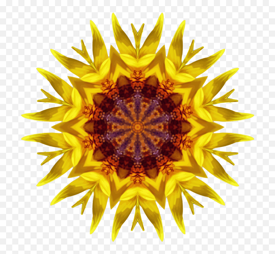 Sunflower Seedpollenflower Png Clipart - Royalty Free Svg Kaleidoscope Emoji,Seed Clipart